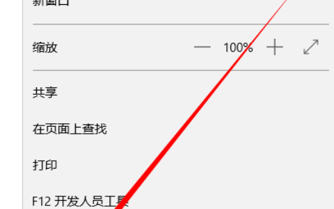 斯巴达Spartan浏览器怎么浏览器历史记录，Cookie和网站数据，临时Internet文件,网站文件