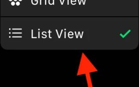 如何以列表形式查看Apple Watch应用程序