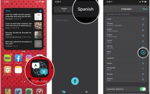 iPhone 12专用翻译应用程序：如何下载语言以离线使用