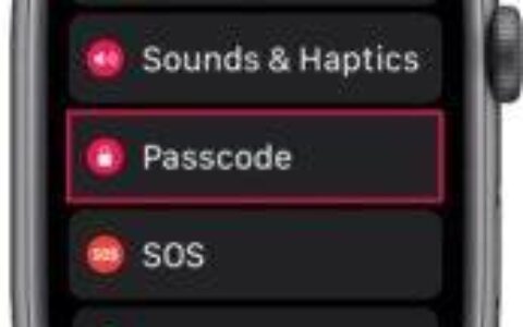 如何更改Apple Watch密码