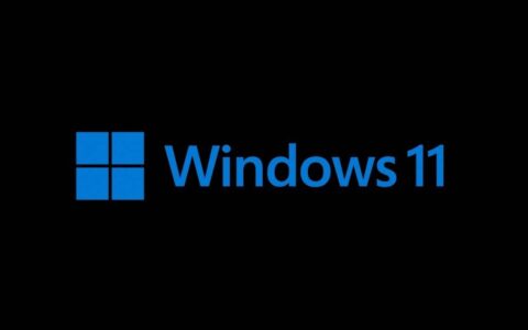 第一个 Windows 11 Insider Build 22000.51 中的已知问题