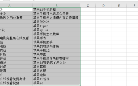 Office 2021 Excel如何将图标变成一张图片