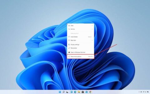 如何在 Windows 11 上找到“刷新”按钮