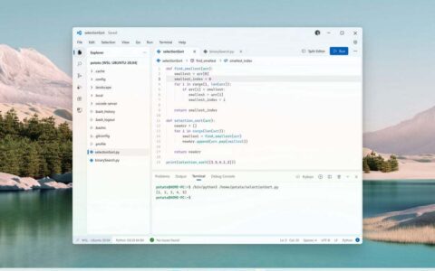 Github 桌面和 Visual Studio 可能看起来像 Windows 11