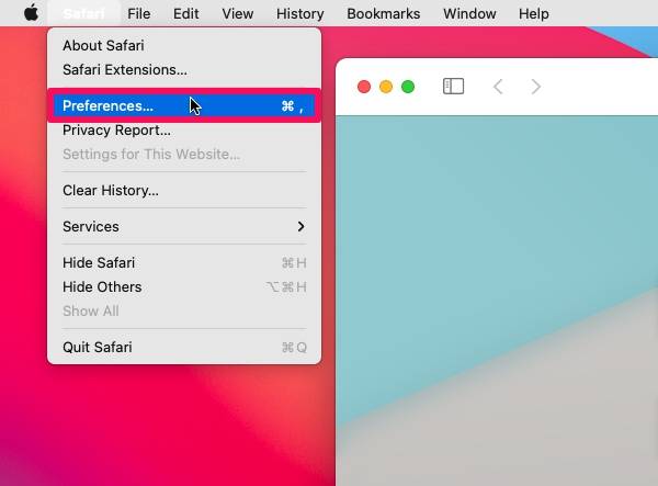 how-to-use-safari-password-monitoring-mac-3