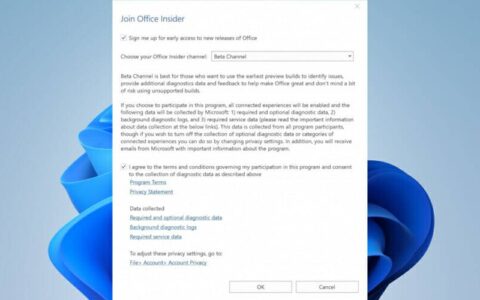 Windows 11 上的 Microsoft Office：兼容性和其他提示