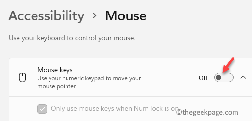 Accessibility-Mouse-Mouse-keys-disable