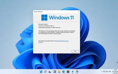 Windows 11 兼容的 CPU 遭受 VBS 的性能问题