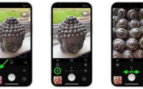 如何在 iPhone 12 及更早机型上拍摄微距摄影
