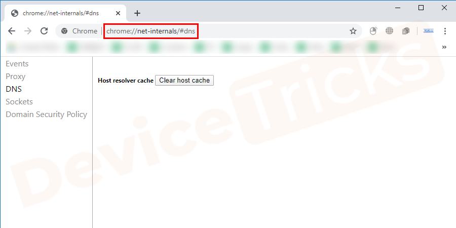 Type-chrome-net-internals-dns-in-the-address-bar-1-1