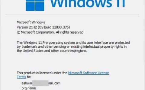 适用于 Windows 11 的 Windows 更新 KB5008215 更新通过 SSD 性能修复、Fluent 2D Emoji 向用户推出
