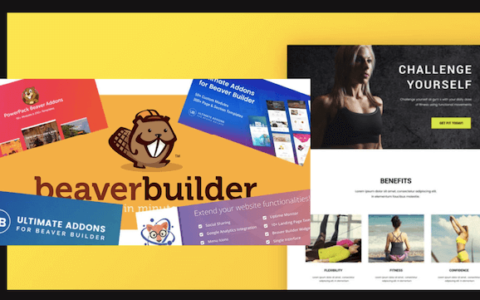 Beaver Builder Pro v2.4.2 与 WooPack Beaver Builder 插件 V1.4.1 WordPress 2021下载和教程