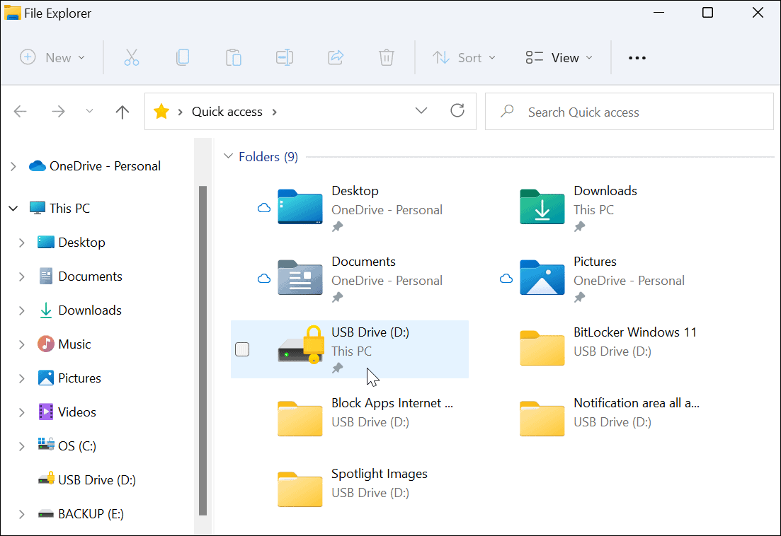 14-Encryption-Drive-Icon-File-Explorer