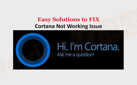 如何修复 Cortana 在 Windows 10 中无法正常工作？