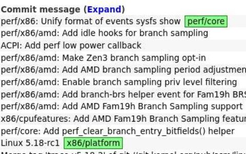 AMD 分支采样“BRS”功能登陆 Linux 5.19