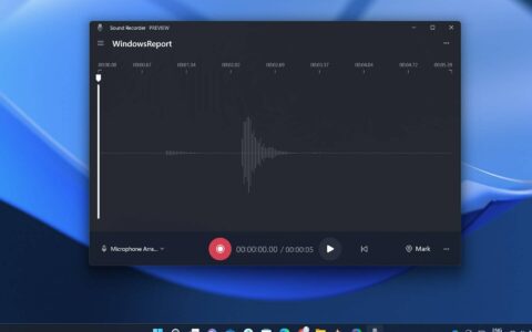 适用于 Windows 11 的录音机刚刚进行了改进