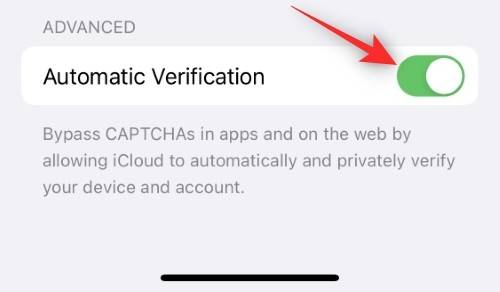 ios-16-bypass-captchas-automatically-3