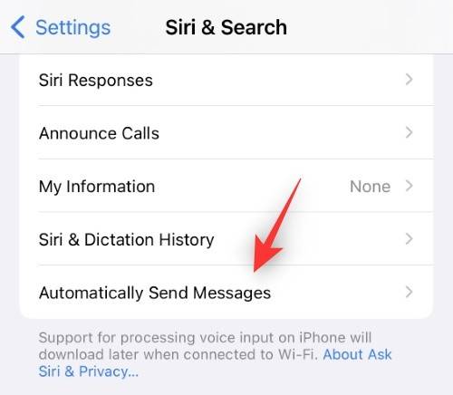 ios-16-siri-confirmation-before-sending-message-2