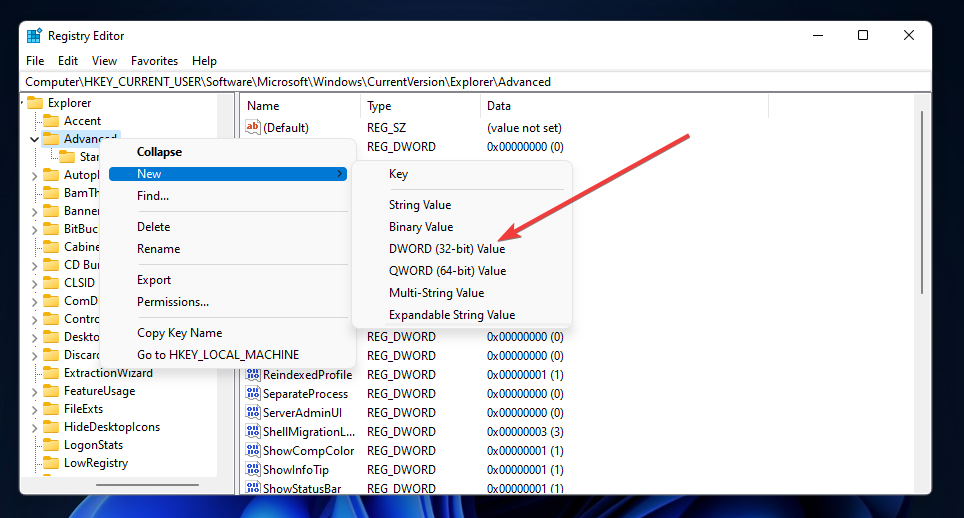 dword-32-bit-value-option