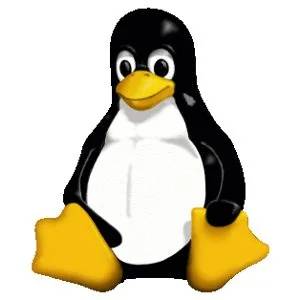 linuxkernel.webp