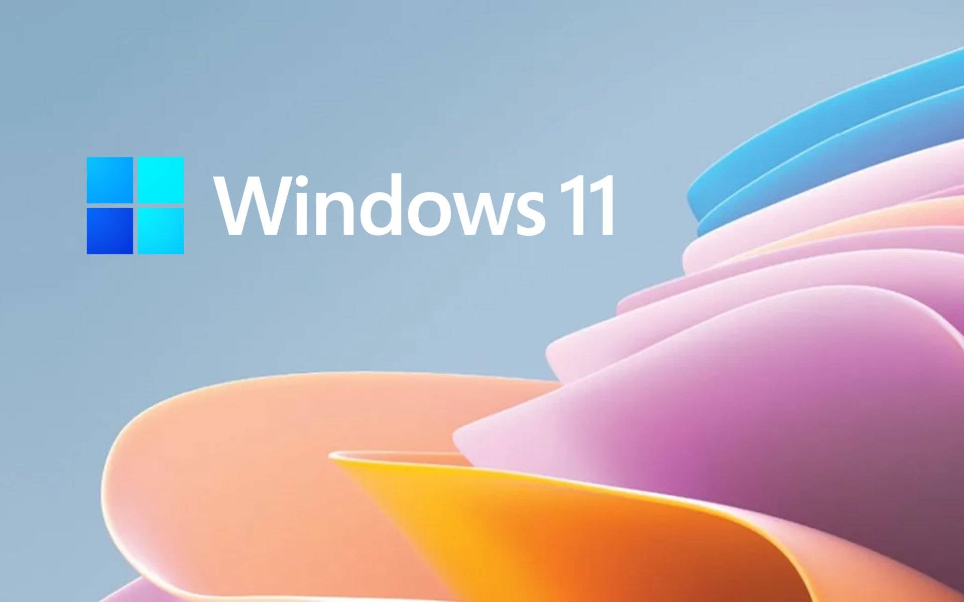 windows-11