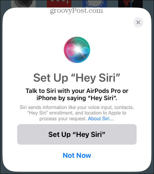 6-Siri-options