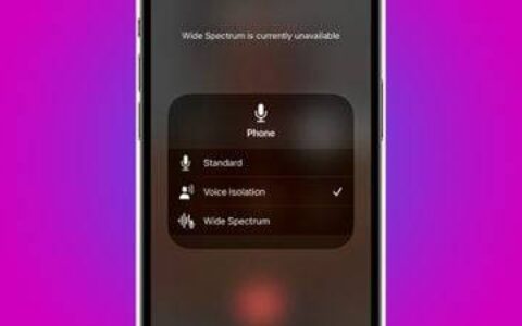 iOS 16.4 Beta：如何为手机通话启用语音隔离