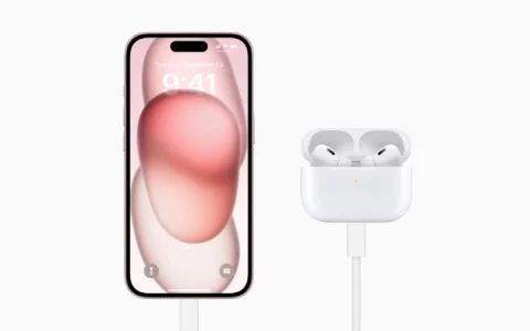 Apple AirPods Pro 使用 USB-C 进行更新