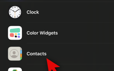 iOS 17：如何在iPhone上获取联系人小部件的呼叫和消息按钮