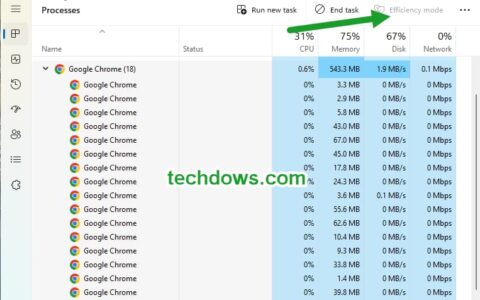 如何在 Windows 11 上的任务管理器中永久禁用 Chrome 的“效率模式”