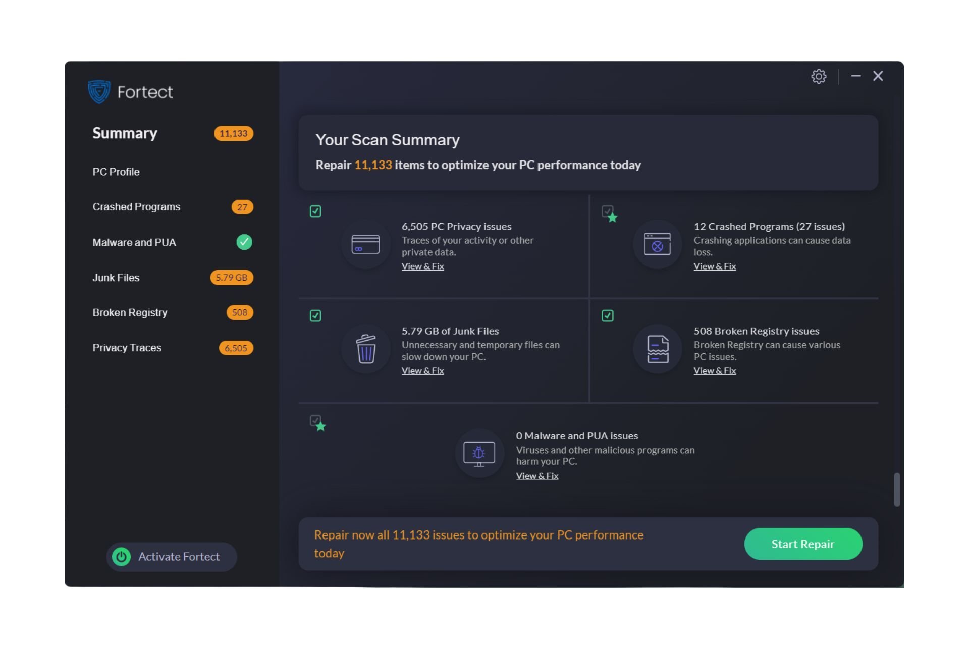 Fortect-Scan-Summary-2