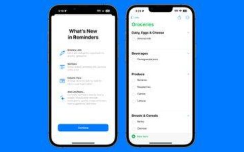 在 iPhone 的“提醒事项”App 中创建杂货清单