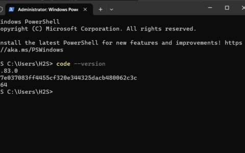 查找 Visual Studio Code 版本 Windows 11 或 10