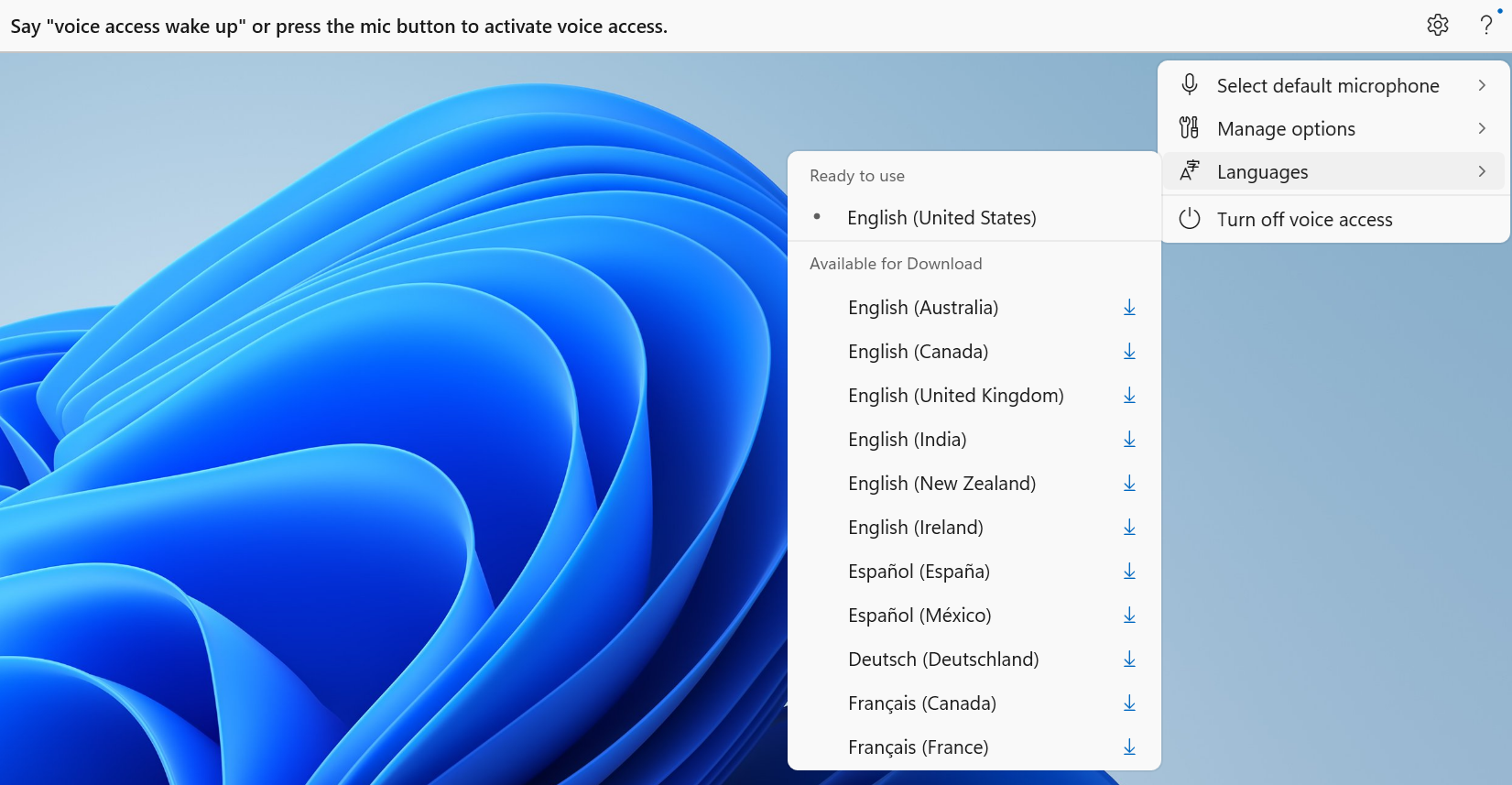 new-languages-in-voice-access