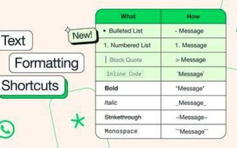 如何掌握WhatsApp的文本格式选项