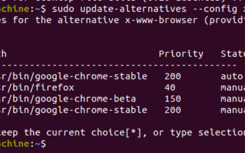 如何更改 x-www-browser 的优先级 – update-alternatives