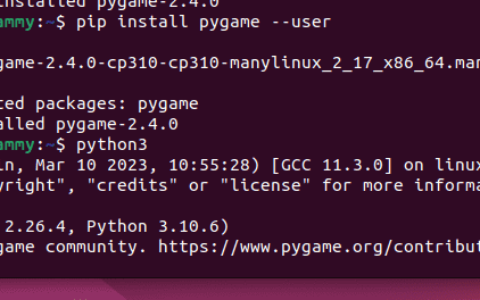 如何在 Ubuntu Linux 中安装 Python 库