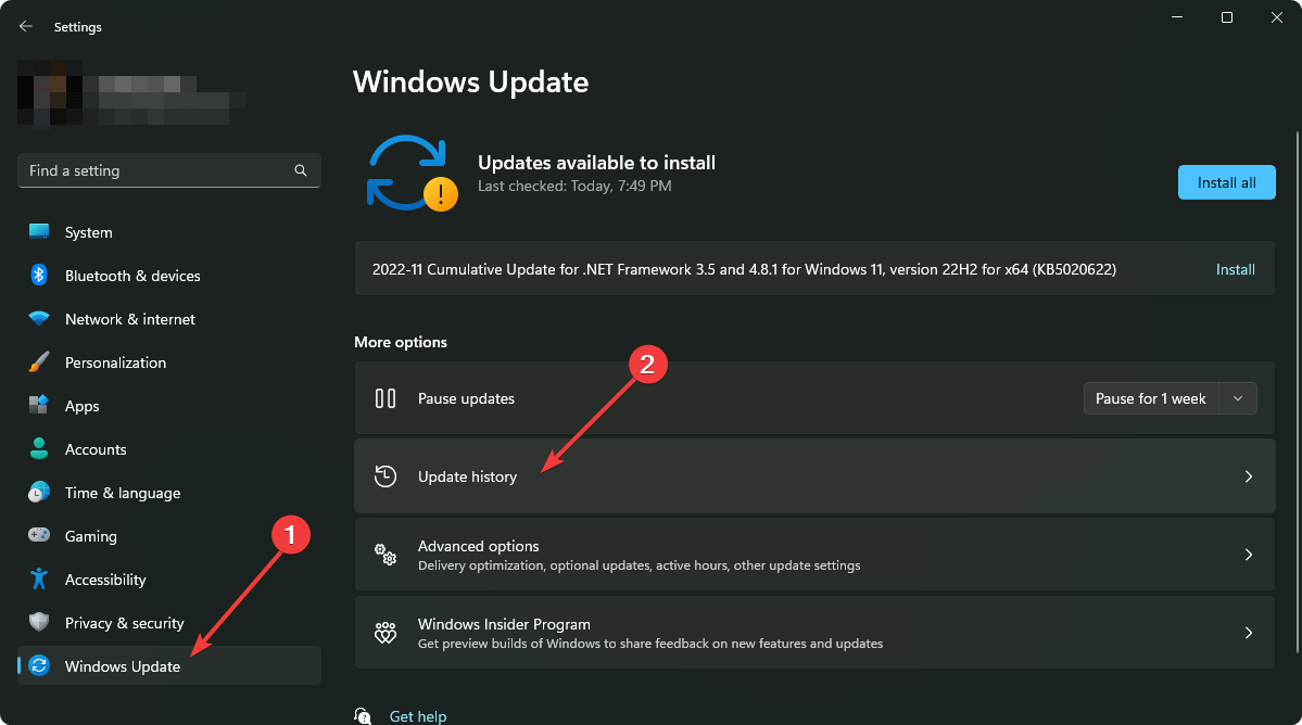going-update-history-windows-11